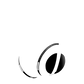 Bose Noise Cancelling Headphone 700 UC Skins