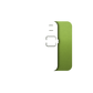 Rabbit R1 skins