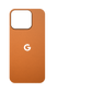 Google Pixel 11 Pro Fold skins
