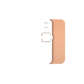 Rabbit R1 skins