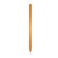 Apple Pencil (Gen 2) Brushed Gold Skins