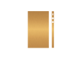 iPhone SE Skins