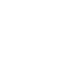 iPhone 11 Skins