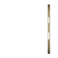 iPhone 12 Skins