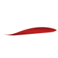 Apple Magic Mouse Skins