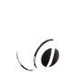 Bose Noise Cancelling Headphone 700 Skins