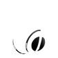 Bose Noise Cancelling Headphone 700 Skins