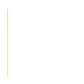 iPad Pro 11" (2020, Gen 2) Skins