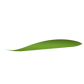 Apple Magic Mouse Skins