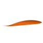 Apple Magic Mouse 2 Skins