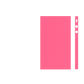 iPhone SE Skins