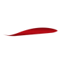 Apple Magic Mouse 2 Skins