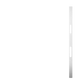 iPhone 12 Skins