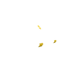 Dell XPS 13 2-in-1 (7390) Skins