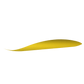 Apple Magic Mouse Skins