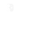 iPhone 12 Skins