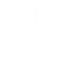 Huawei P30 Pro Skins