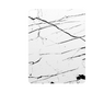 iPad Pro 12.9" (2021, Gen 5, M1) skins