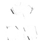 Apple MagSafe Duo Charger skins